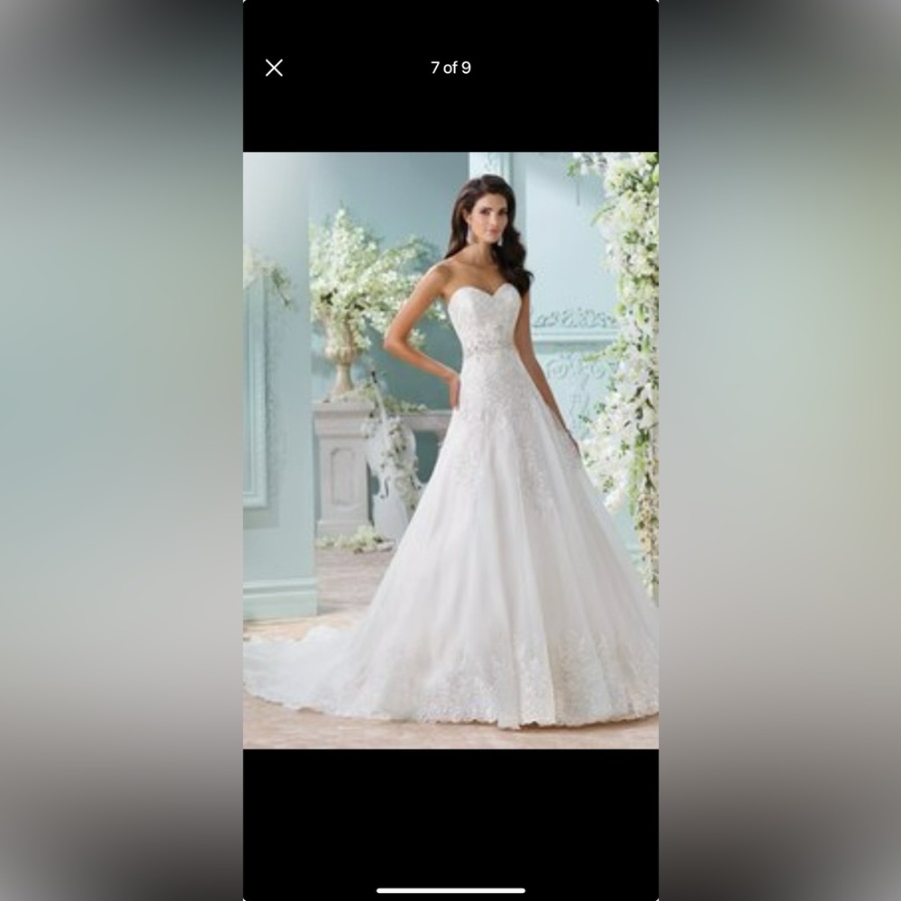 BRAND NEW DAVID TUTERA WEDDING GOWN - Picture 3 of 7